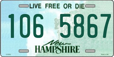 NH license plate 1065867