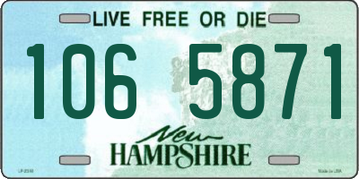 NH license plate 1065871