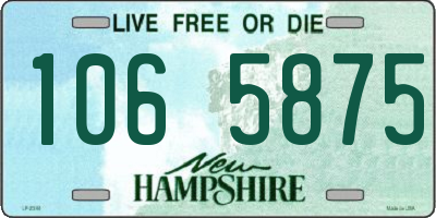 NH license plate 1065875