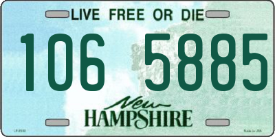 NH license plate 1065885