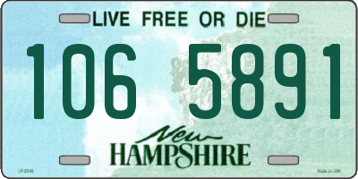 NH license plate 1065891