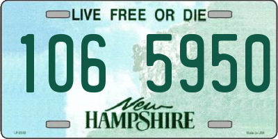 NH license plate 1065950