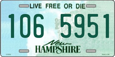 NH license plate 1065951