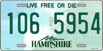 NH license plate 1065954