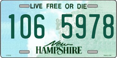NH license plate 1065978
