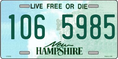 NH license plate 1065985