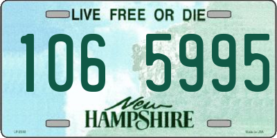 NH license plate 1065995