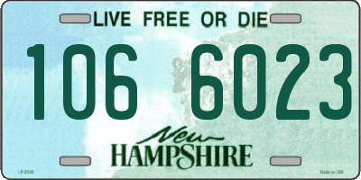 NH license plate 1066023