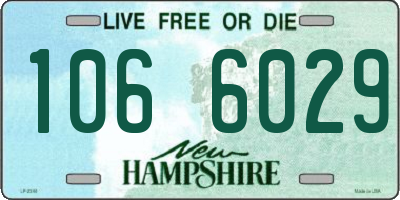 NH license plate 1066029