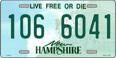 NH license plate 1066041
