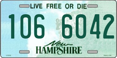 NH license plate 1066042