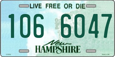 NH license plate 1066047