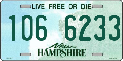 NH license plate 1066233