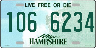 NH license plate 1066234
