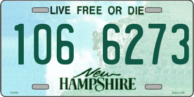 NH license plate 1066273