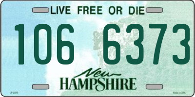 NH license plate 1066373