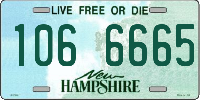 NH license plate 1066665