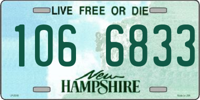 NH license plate 1066833