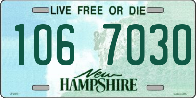 NH license plate 1067030