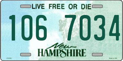 NH license plate 1067034