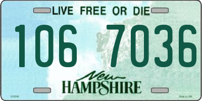 NH license plate 1067036