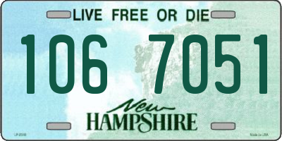 NH license plate 1067051