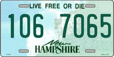 NH license plate 1067065