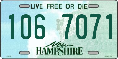 NH license plate 1067071