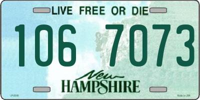 NH license plate 1067073