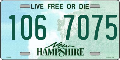 NH license plate 1067075