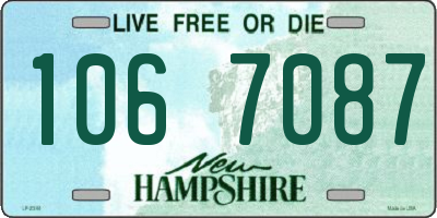 NH license plate 1067087