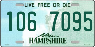 NH license plate 1067095