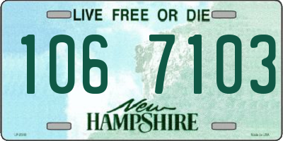 NH license plate 1067103