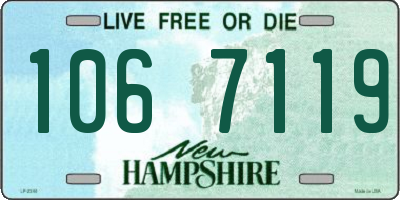 NH license plate 1067119