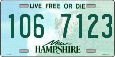 NH license plate 1067123