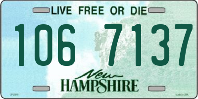NH license plate 1067137