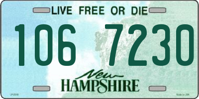 NH license plate 1067230