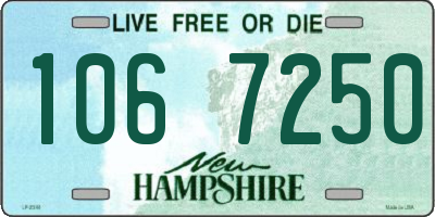NH license plate 1067250