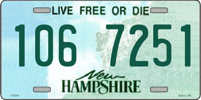 NH license plate 1067251