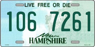 NH license plate 1067261