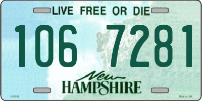 NH license plate 1067281