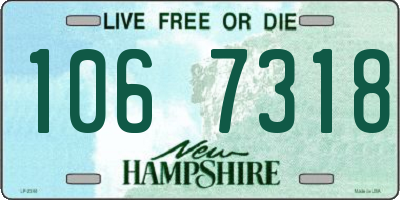 NH license plate 1067318