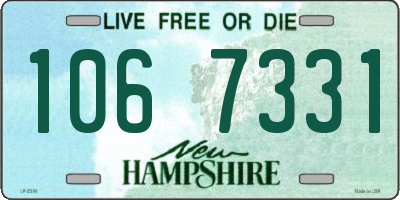 NH license plate 1067331