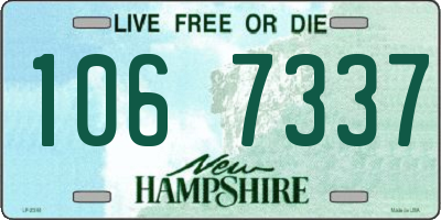 NH license plate 1067337
