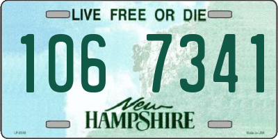 NH license plate 1067341
