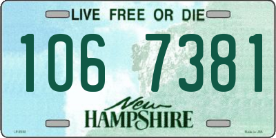 NH license plate 1067381