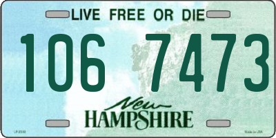 NH license plate 1067473