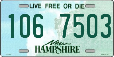 NH license plate 1067503