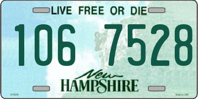 NH license plate 1067528