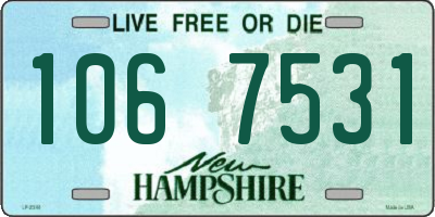 NH license plate 1067531